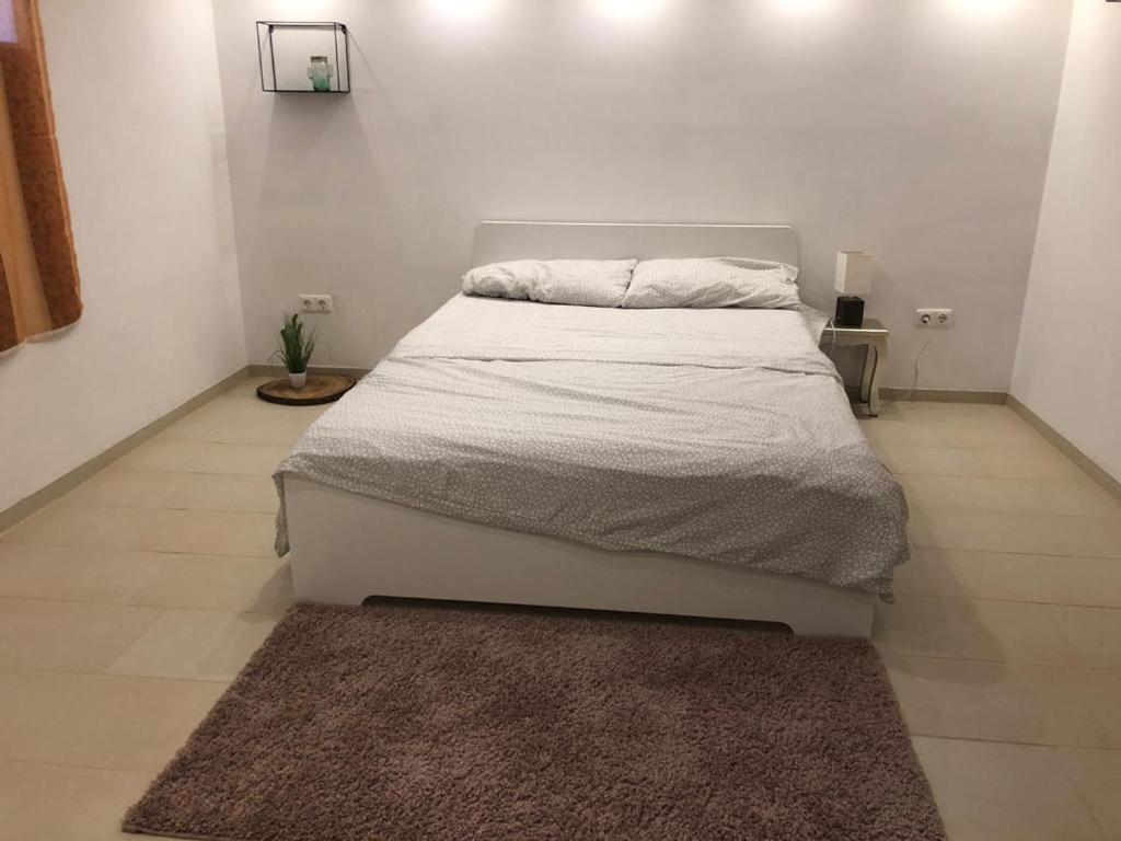 Bescheidene Untergeschoss Wohnung In Guter Lage. Cologne Exterior photo